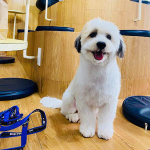 Meet your Posher, Sarah jane